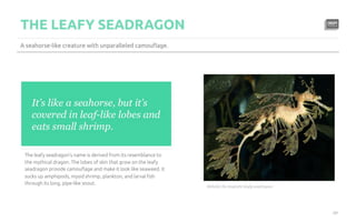 Five Killer Ways to Design The Same Slide