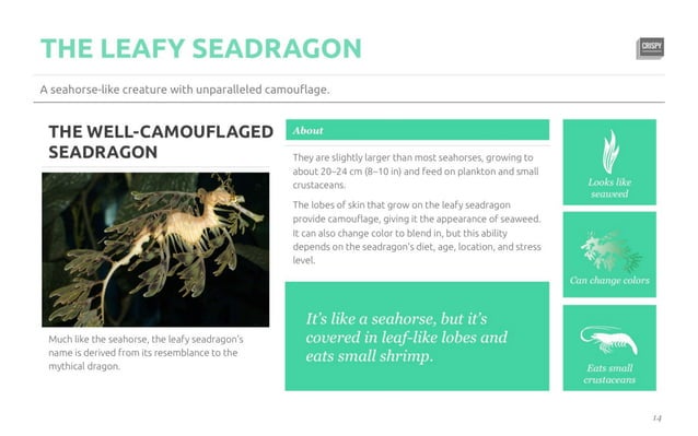 five-killer-ways-to-design-the-same-slide-ppt