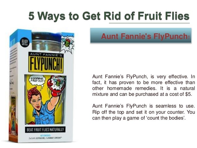 7 Ways To Get Rid Of Fruit Flies 5 ways to get rid of fruit flies 7 Ways To Get Rid Of Fruit Flies 5 ways to get rid of fruit flies