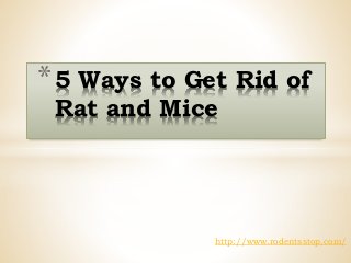 *5 Ways to Get Rid of
Rat and Mice
http://www.rodentsstop.com/
 