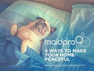 5 Ways To Make Your Home
Peaceful
By MaidPro Kansas City
 
