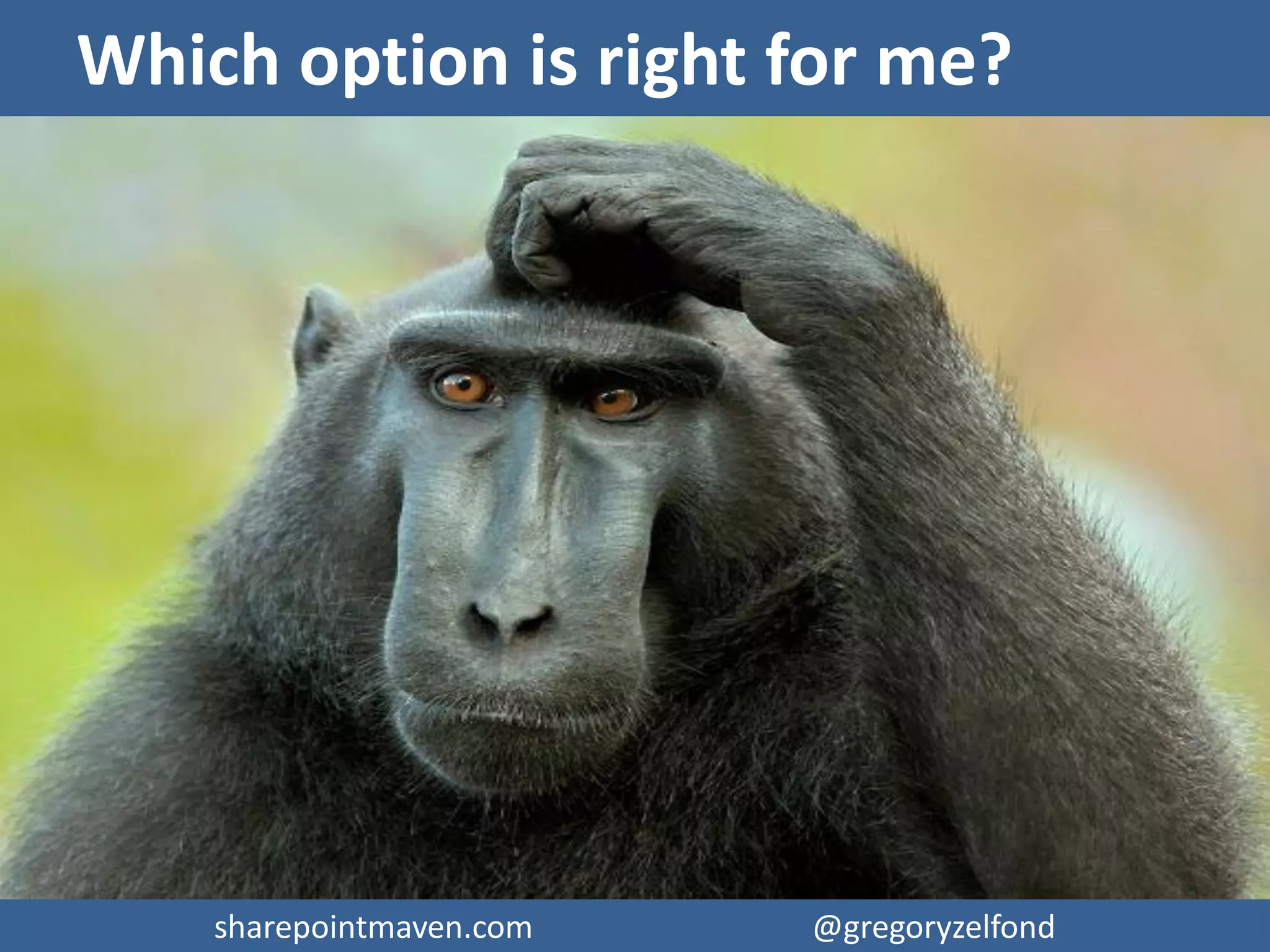 sharepointmaven.com @gregoryzelfondsharepointmaven.com @gregoryzelfond
1. Explain 5 available options for document
management in SharePoint
2. List Pros and Cons for each method
This presentation will…
 