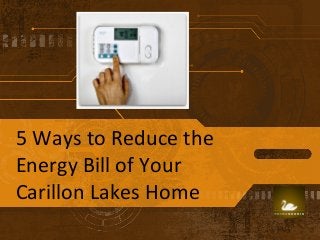 5 Ways to Reduce the 
Energy Bill of Your 
Carillon Lakes Home 
 