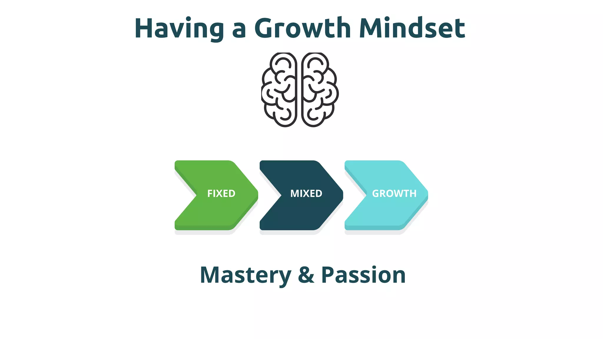 Having a Growth Mindset
Mastery & Passion
FIXED MIXED GROWTH
 