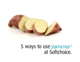 5 Ways To Use Yammer (at Softchoice)