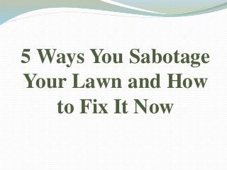 5 Ways You Sabotage
Your Lawn and How
to Fix It Now
 