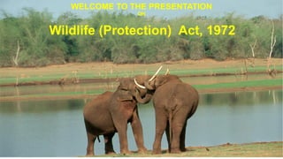WELCOME TO THE PRESENTATION
ON
Wildlife (Protection) Act, 1972
 