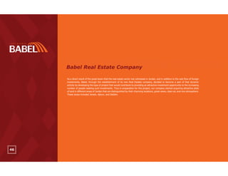 Babel company profile
