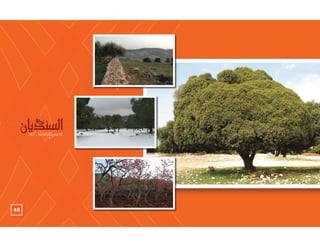 Babel company profile