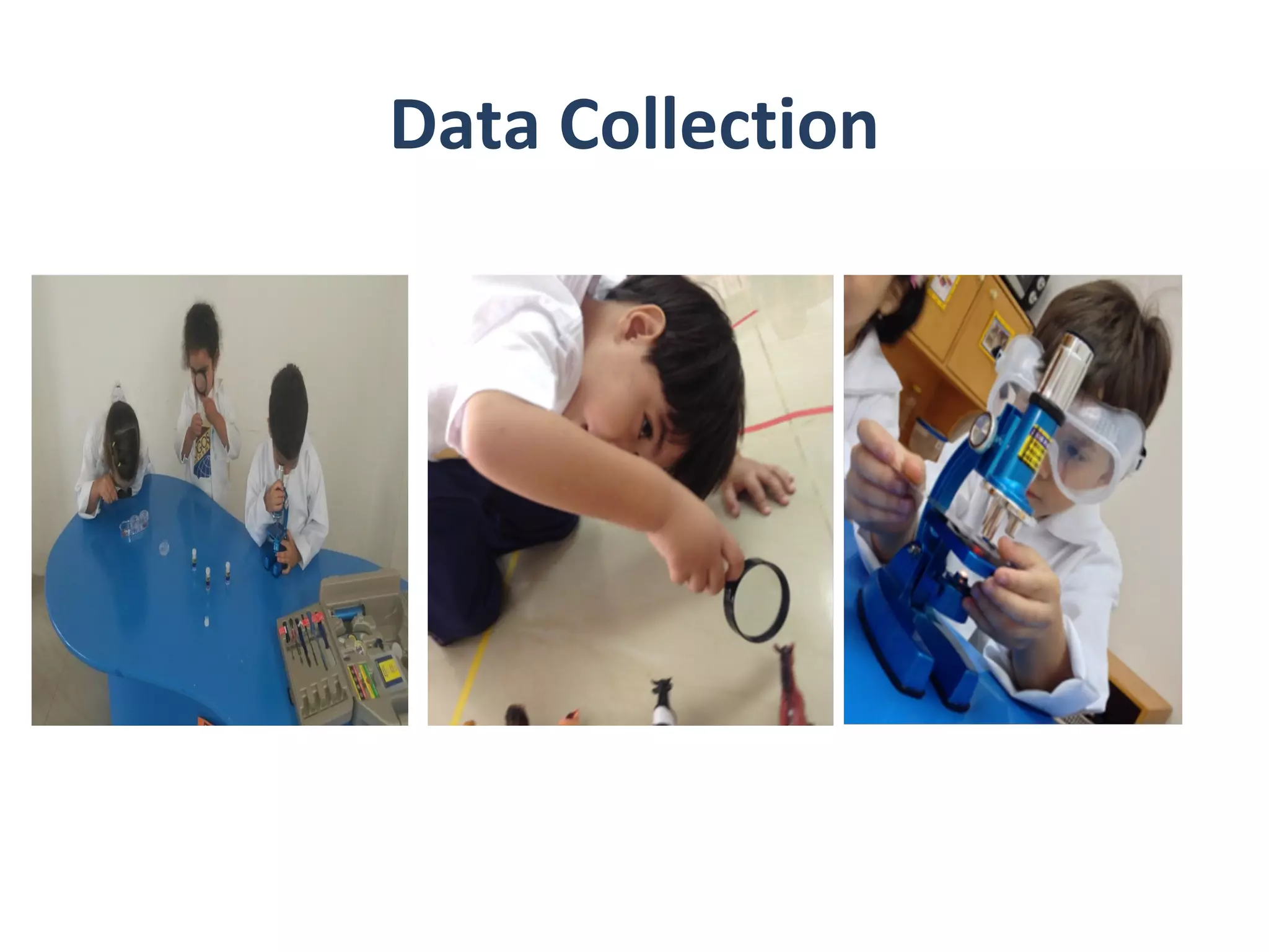 Data Collection
 