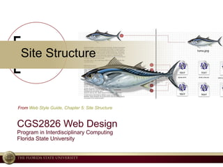 Site Structure CGS2826 Web Design Program in Interdisciplinary Computing Florida State University From  Web Style Guide, Chapter 5: Site Structure 