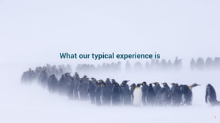What our typical experience is
4
 
