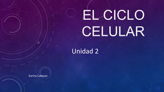 EL CICLO
CELULAR
Unidad 2
Karina Cabezas
 