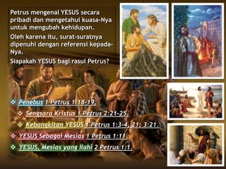  Penebus 1 Petrus 1:18-19.
 Sengsara Kristus 1 Petrus 2:21-25.
 Kebangkitan YESUS 1 Petrus 1:3-4, 21; 3:21.
 YESUS Sebagai Mesias 1 Petrus 1:11.
 YESUS, Mesias yang Ilahi 2 Petrus 1:1.
Petrus mengenal YESUS secara
pribadi dan mengetahui kuasa-Nya
untuk mengubah kehidupan.
Oleh karena itu, surat-suratnya
dipenuhi dengan referensi kepada-
Nya.
Siapakah YESUS bagi rasul Petrus?
 