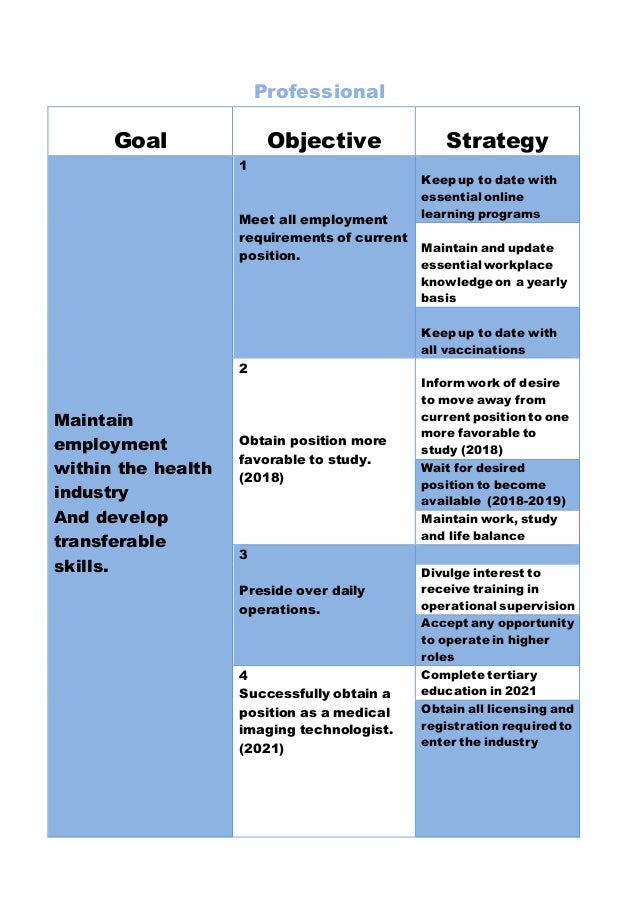 5 year plan template professional 5 year plan template