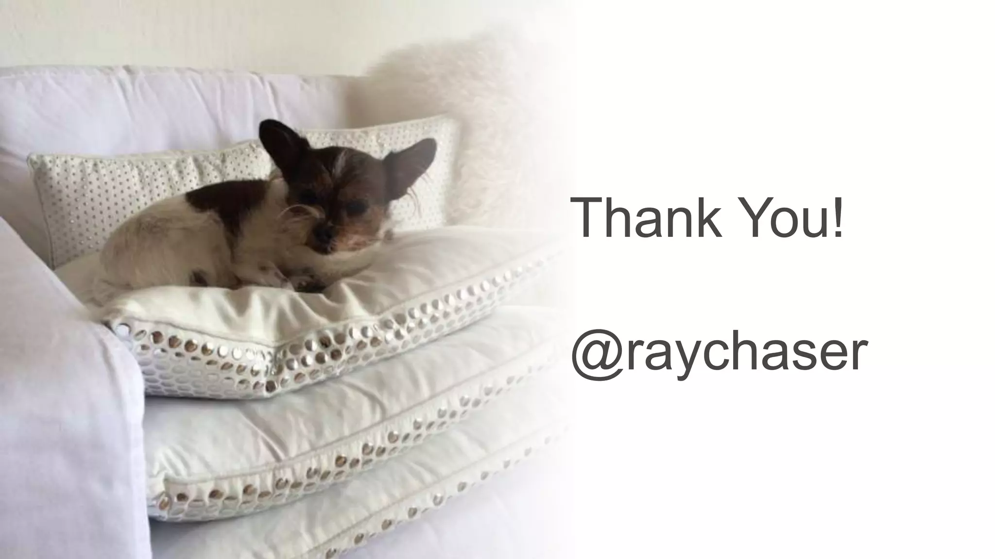 Thank You!
@raychaser
 