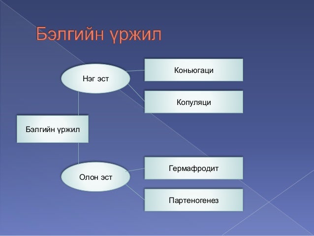 амьтны бэлгийн үржил