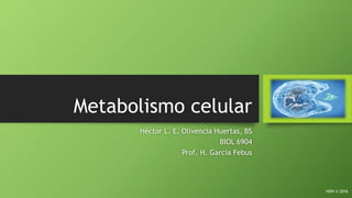 Metabolismo celular
Héctor L. E. Olivencia Huertas, BS
BIOL 6904
Prof. H. García Febus
HOH © 2016
 