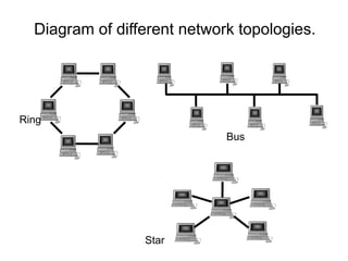 Diagram of different network topologies.
Ring
Star
Bus
 