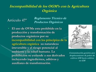 Porque el Peru debe ser: "Pais megadiverso, organico y libre de transgenicos"