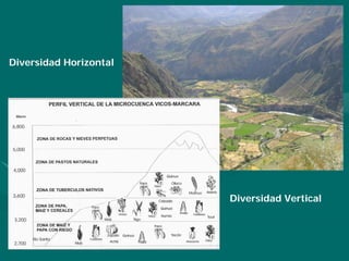 Porque el Peru debe ser: "Pais megadiverso, organico y libre de transgenicos"