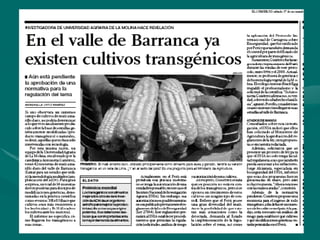 Porque el Peru debe ser: "Pais megadiverso, organico y libre de transgenicos"