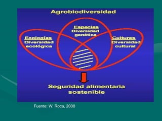 Porque el Peru debe ser: "Pais megadiverso, organico y libre de transgenicos"