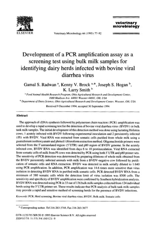 veterinary
                                                                                             microbiology
                                     Veterinary   Microbiology   44   ( 1995) 77-92




     Development of a PCR amplification assay as a
        screening test using bulk milk samples for
    identifying dairy herds infected with bovine viral
                       diarrhea virus
       Gamal S. Radwan a, Kenny V. Brock a**, Joseph S. Hogan b,
                           K. Larry Smith b
           aFood Animal Health Research Program, Ohio Agricultural Research and Development Center,
                             1680 Madison Ave. 44691 Wooster 44691, OH, USA
   ’ Department of Dairy Science. Ohio Agricultural Research and Development Center, Wooster. OH, USA

                             Received 9 December      1994; accepted 30 September     1994


Abstract

   The approach of cDNA synthesis followed by polymerase chain reaction (PCR) amplification was
used to develop a rapid screening test for the detection of bovine viral diarrhea virus (BVDV) in bulk
tank milk samples. The initial development of this detection method was done using lactating Holstein
cows; 1 acutely infected with BVDV following experimental inoculation and 2 persistently infected
(PI) with BVDV. Viral RNA was extracted from somatic cells purified from whole milk using a
guanidinium isothiocyanate and phenol/chloroform        extraction method. Oligonucleotide primers were
selected from the S’untranslated region (S’UTR) and p80 region of BVDV genome. In the acutely
infected cow, BVDV RNA was identified from days 6 to 10 postinoculation. Viral RNA extracted
from somatic cells of milk from PI cows was detected by PCR using both S’UTR and ~80 primer sets.
The sensitivity of PCR detection was determined by preparing dilutions of whole milk obtained from
the BVDV persistently infected animals with milk from a BVDV-negative cow followed by purifi-
cation of somatic cells and RNA extraction. BVDV was detected in milk serially diluted to 1:640
using PCR amplification. In addition, PCR amplification was 14.6 times more sensitive than virus
isolation in detecting BVDV RNA in purified milk somatic cells. PCR detected BVDV RNA from a
minimum of 580 somatic cells while the detection limit of virus isolation was 8500 cells. The
sensitivity and specificity of BVDV amplification were confirmed by Southern hybridization analysis.
BVDV RNA was detected using PCR in 33 out of 136 bulk milk samples collected from 124 individual
herds using the S’UTR primer set. These results indicate that PCR analysis of bulk tank milk samples
may provide a rapid and sensitive method of screening herds for the presence of BVDV infections.

Keyords:      PCR; Herd screening; Bovine viral diarrhea virus; BVDV: Bulk milk: Somatic cells



  * Corresponding     author. Tel 216-263-3744,   Fax 216-263-3677


0378-l 135/95/$09.50    0 1995 Elsevier Science B.V. All rights reserved
.SSL)IO378-I   135(94)00121-9
 