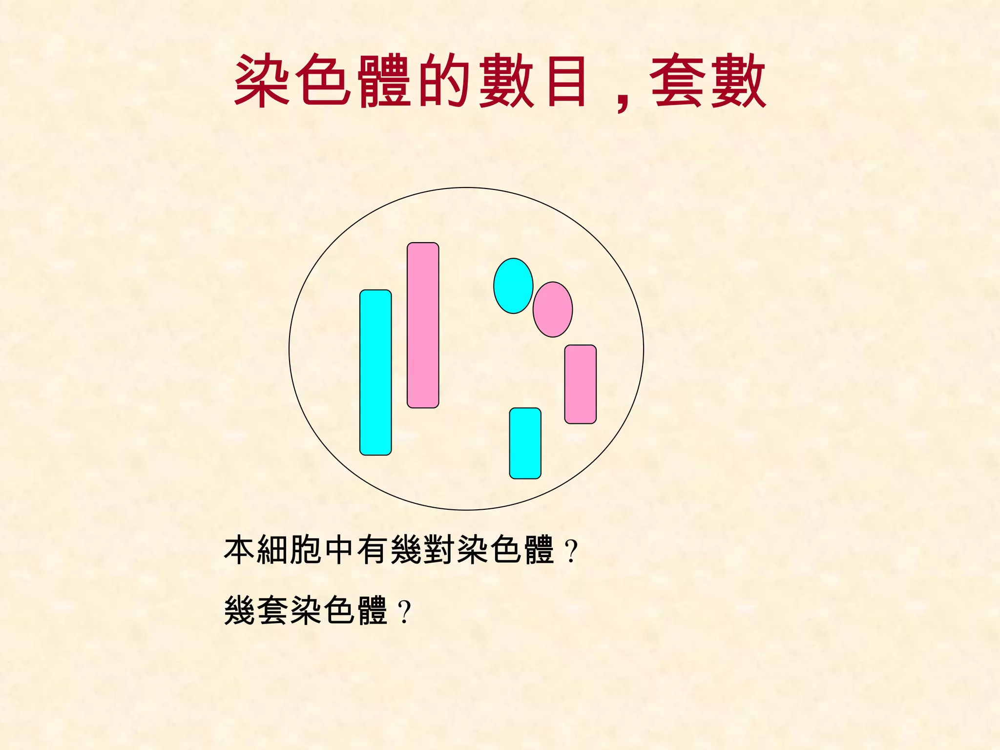 染色體的數目 , 套數 本細胞中有幾對染色體 ?  幾套染色體 ?  
