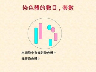 染色體的數目 , 套數 本細胞中有幾對染色體 ?  幾套染色體 ?  