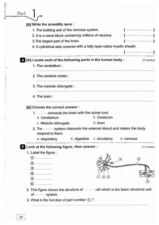 مراجعة كتاب المعاصر فى العلوم ( لغات ) للصف السادس الابتدائى لنصف العام 