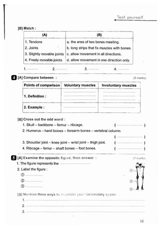 مراجعة كتاب المعاصر فى العلوم ( لغات ) للصف السادس الابتدائى لنصف العام 