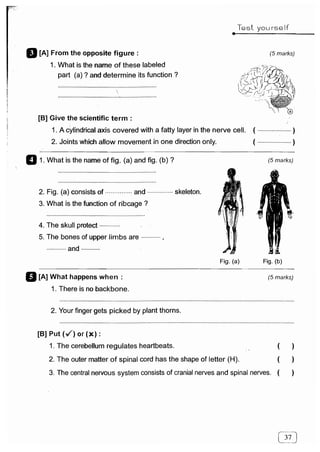 مراجعة كتاب المعاصر فى العلوم ( لغات ) للصف السادس الابتدائى لنصف العام 