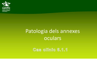Patologia dels annexes
       oculars
 