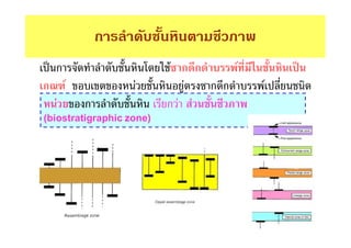 ก
    ก                     F ก ก     F
ก       F           F       F   ก ก     F
    F       ก             กF F
(biostratigraphic zone)
 