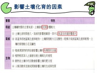 影響土壤化育的因素P.84