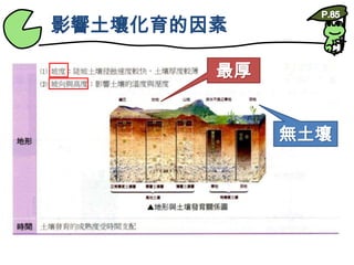影響土壤化育的因素P.85最厚無土壤