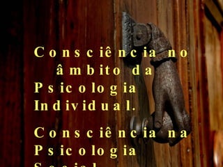 Consciência no  âmbito da Psicologia Individual.  Consciência na Psicologia Social. 