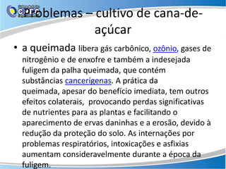 Problemas – cultivo de cana-de-
              açúcar
• a queimada libera gás carbônico, ozônio, gases de
  nitrogênio e de enxofre e também a indesejada
  fuligem da palha queimada, que contém
  substâncias cancerígenas. A prática da
  queimada, apesar do benefício imediata, tem outros
  efeitos colaterais, provocando perdas significativas
  de nutrientes para as plantas e facilitando o
  aparecimento de ervas daninhas e a erosão, devido à
  redução da proteção do solo. As internações por
  problemas respiratórios, intoxicações e asfixias
  aumentam consideravelmente durante a época da
  fuligem.
 