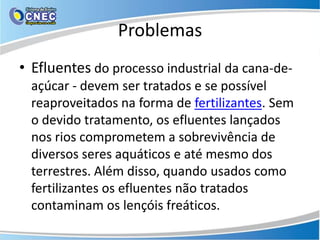 Problemas
• Efluentes do processo industrial da cana-de-
  açúcar - devem ser tratados e se possível
  reaproveitados na forma de fertilizantes. Sem
  o devido tratamento, os efluentes lançados
  nos rios comprometem a sobrevivência de
  diversos seres aquáticos e até mesmo dos
  terrestres. Além disso, quando usados como
  fertilizantes os efluentes não tratados
  contaminam os lençóis freáticos.
 