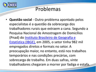 Problemas
• Questão social - Outro problema apontado pelos
  especialistas é a questão da sobrecarga dos
  trabalhadores rurais que extraem a cana. Segundo a
  Pesquisa Nacional de Amostragem de Domicílios
  (Pnad) do Instituto Brasileiro de Geografia e
  Estatística (IBGE), em 2005, o setor tinha 982 mil
  empregados diretos e formais no setor. A
  preocupação maior, no entanto, está nos trabalhos
  temporários e nas condições precárias, com
  sobrecarga de trabalho. Em duas safras, vinte
  trabalhadores chegaram a morrer por fadiga e estafa.
 