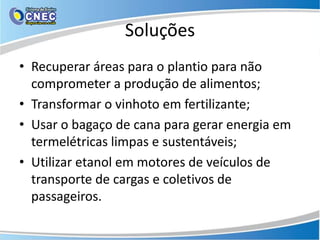 Soluções
• Recuperar áreas para o plantio para não
  comprometer a produção de alimentos;
• Transformar o vinhoto em fertilizante;
• Usar o bagaço de cana para gerar energia em
  termelétricas limpas e sustentáveis;
• Utilizar etanol em motores de veículos de
  transporte de cargas e coletivos de
  passageiros.
 