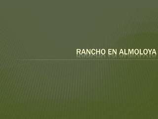 RANCHO EN ALMOLOYA
 