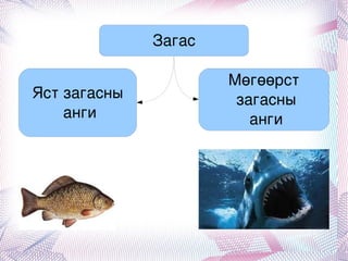 хичээл6