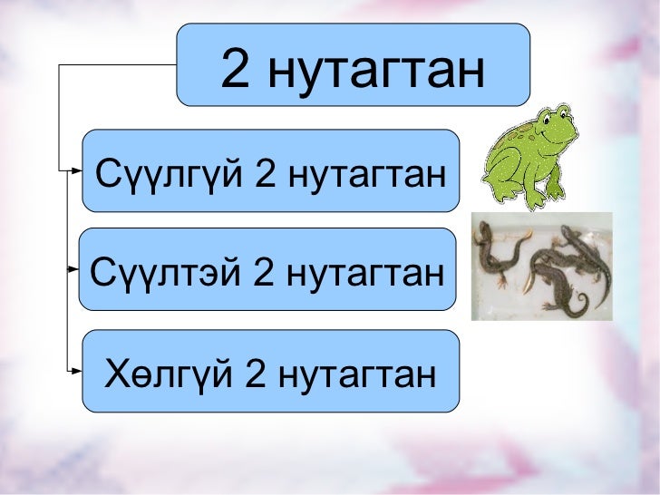 хичээл6