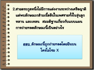 2.สายตระกูลหนึงไม่มีการแต่งงานระหว่างเครือญาติ
              ่
  แต่พบลักษณะกล้ามเนื้อลีบในเพศชายทังในรุ่นลูก
                                     ้
  หลาน และเหลน สมมติฐานเกี่ยวกับแบบแผน
  การถ่ายทอดลักษณะนีเป็นอย่างไร
                      ้


      ตอบ ลักษณะนีถกถ่ายทอดโดยยีนบน
                  ้ ู
               โครโมโซม X
 