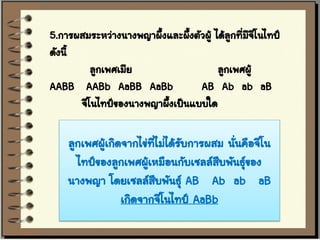 5.การผสมระหว่างนางพญาผึ้งและผึงตัวผู้ ได้ลกทีมจโนไทป์
                               ้          ู ่ ีี
ดังนี้
          ลูกเพศเมีย                   ลูกเพศผู้
AABB AABb AaBB AaBb              AB Ab ab aB
       จีโนไทป์ของนางพญาผึงเป็นแบบใด
                          ้

    ลูกเพศผู้เกิดจากไข่ที่ไม่ได้รบการผสม นันคือจีโน
                                 ั         ่
      ไทป์ของลูกเพศผู้เหมือนกับเซลล์สบพันธุของ
                                       ื     ์
    นางพญา โดยเซลล์สบพันธุ์ AB Ab ab aB
                          ื
                 เกิดจากจีโนไทป์ AaBb
 