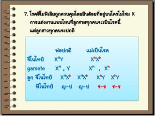 7. โรคฮีโมฟีเลียถูกควบคุมโดยยีนด้อยทีอยูบนโครโมโซม X
                                     ่ ่
   การแต่งงานแบบไหนที่ลกชายทุกคนจะเป็นโรคนี้
                          ู
   แต่ลกสาวทุกคนจะปกติ
       ู

             พ่อปกติ  แม่เป็นโรค
 จีโนไทป์ XHY           XhXh
 gamete XH , Y         XH , Xh
 ลูก จีโนไทป์ XHXh XHXh XhY XhY
     ฟีโนไทป์ ญ-ป ญ-ป ช-ร ช-ร
 