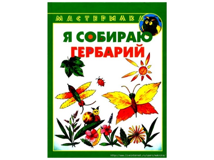 гербарий по биологии 5 класс образец