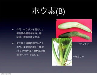 ホウ素(B)

              •   作用：ペクチンを固定して
                  細胞壁の構造を維持。糖、
                  RNA、膜の代謝に関与。

              •   欠乏症：組織内部がもろく       ↑キュウリ
                  なり、果実内の壊死・亀裂
                  (キュウリ)や茎・葉柄部の亀
                  裂(セルリー)を生じる。
                                   ←セルリー




12年12月9日日曜日
 